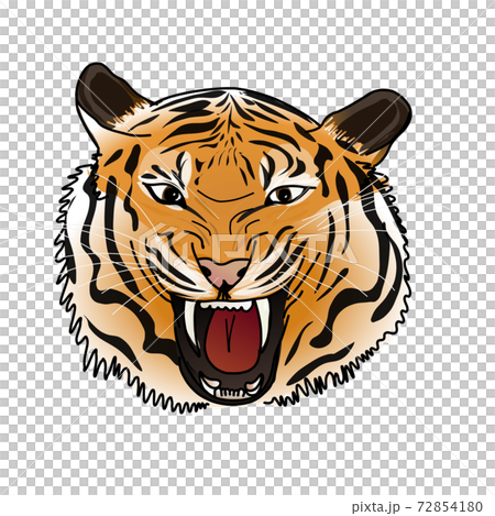 Tiger head roaring Tiger head roaring 72854180