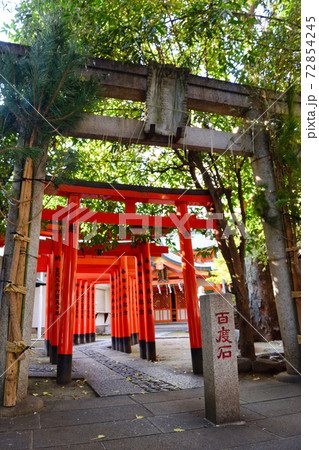 豊栄稲荷神社(東京都渋谷区) 豊栄稲荷神社(東京都渋谷区) 72854245