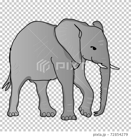 African elephant transparent png 72854279