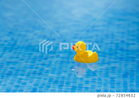 yellow rubber duck in blue swimming pool 72854632