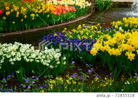 fresh lawn with flowers 72855518