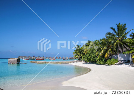 The white sandy beach, Maldives 72856332