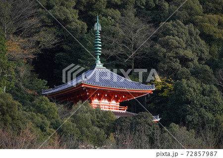 冬の岐阜公園の三重塔の写真素材