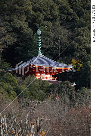 冬の岐阜公園の三重塔の写真素材