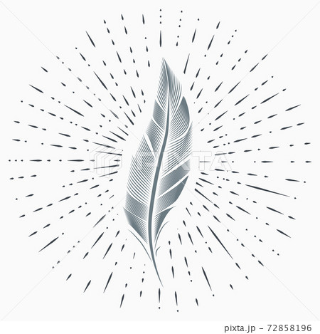 Vintage illustration with sun rays and feather. Vintage illustration with sun rays and feather. 72858196