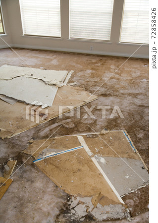 Water leaking damaged plasterboard and carpet Water leaking damaged plasterboard and carpet 72858426