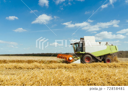Combine harvester harvests ripe wheat. Concept of a rich harvest. Agriculture image Combine harvester harvests ripe wheat. Concept of a rich harvest. Agriculture image 72858481