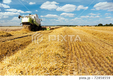 Combine harvester harvests ripe wheat. Concept of a rich harvest. Agriculture image Combine harvester harvests ripe wheat. Concept of a rich harvest. Agriculture image 72858559