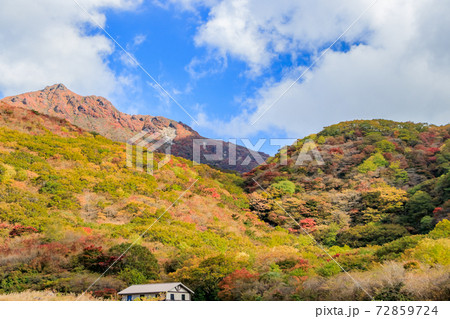 坊ガツルから見た大船山(秋) 大分県玖珠郡 坊ガツルから見た大船山(秋) 大分県玖珠郡 72859724