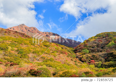 坊ガツルから見た大船山(秋) 大分県玖珠郡 坊ガツルから見た大船山(秋) 大分県玖珠郡 72859725