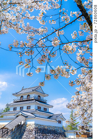 春の白石城と桜　【宮城県】 72860608