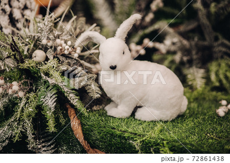 picture of nice little rabbit near a tree with a picture of nice little rabbit near a tree with a 72861438