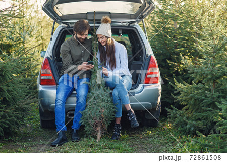 Joyful bearded man and pretty woman in hat sitting in car trunk holding fir tree and using smartphone at plantation area 72861508