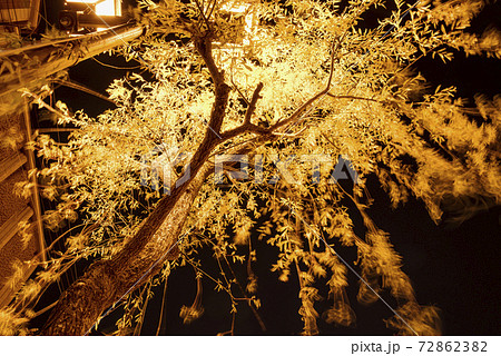 夜の下呂温泉を歩く 72862382