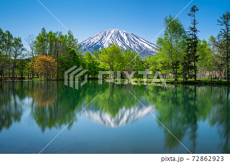 新緑の羊蹄山1 新緑の羊蹄山1 72862923