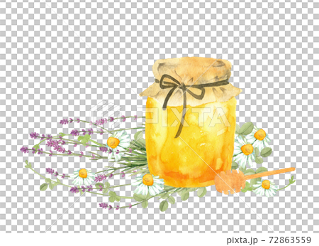 ハチミツとハーブの水彩画 72863559