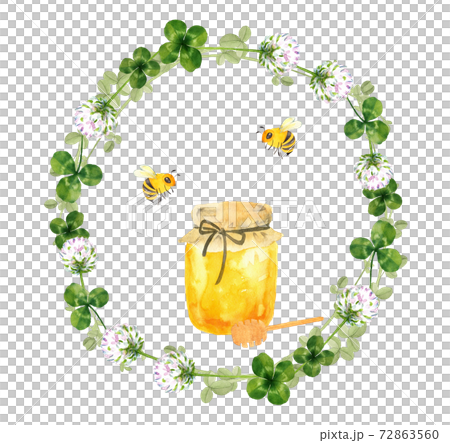 ハチミツとクローバーの花の水彩画 72863560