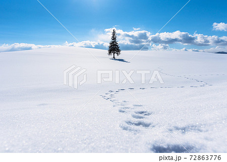 1本木と足跡3 72863776