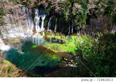 早春の白糸の滝 72863813