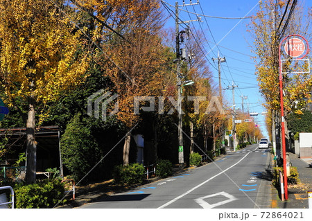 12月 世田谷554トウカエデ並木の紅葉・深沢町並み 12月 世田谷554トウカエデ並木の紅葉・深沢町並み 72864021