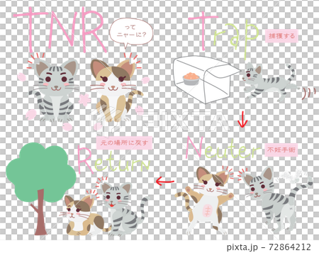 Set of illustrations of regional cat TNR 72864212