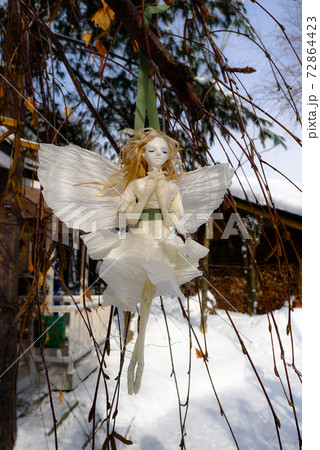 雪の花の妖精です。北の国の麓郷から冬の便りです。 雪の花の妖精です。北の国の麓郷から冬の便りです。 72864423