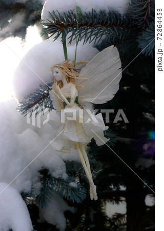 雪の花の妖精です。北の国の麓郷から冬の便りです。 雪の花の妖精です。北の国の麓郷から冬の便りです。 72864453