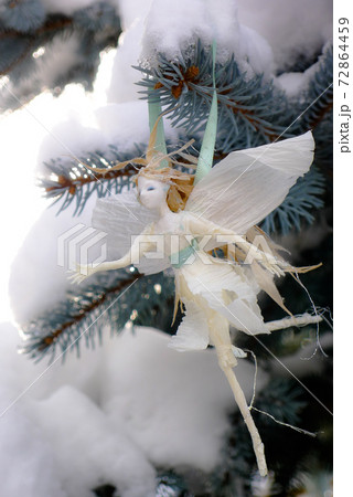 雪の花の妖精です 北の国の麓郷から冬の便りです の写真素材 雪の花の妖精です 北の国の麓郷から冬の便りです の写真素材