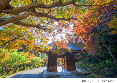 普門寺の紅葉 72864627