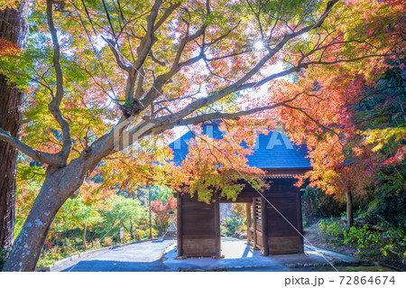 普門寺の紅葉 普門寺の紅葉 72864674