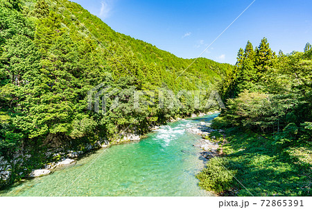 岐阜・モネの池散策 72865391