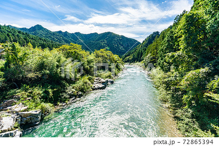 岐阜・モネの池散策 岐阜・モネの池散策 72865394