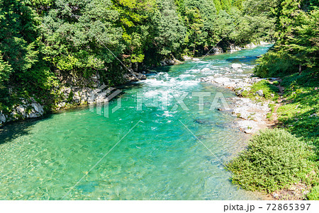 岐阜・モネの池散策 岐阜・モネの池散策 72865397