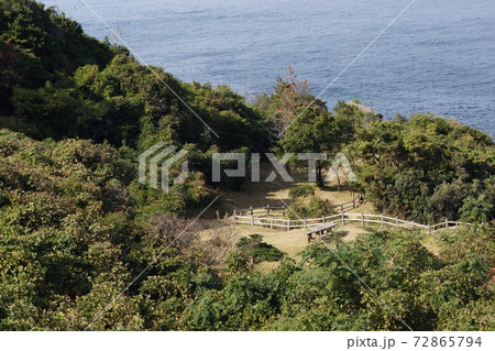 山口県 萩市 須佐高山の海苔石園地 72865794