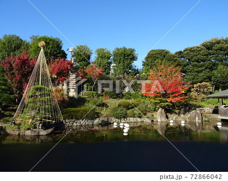 がんぎと紅葉と池が美しい秋の目白庭園 池泉回遊式の日本庭園の写真素材
