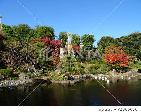 がんぎと紅葉と池が美しい秋の目白庭園 池泉回遊式の日本庭園 がんぎと紅葉と池が美しい秋の目白庭園 池泉回遊式の日本庭園 72866056
