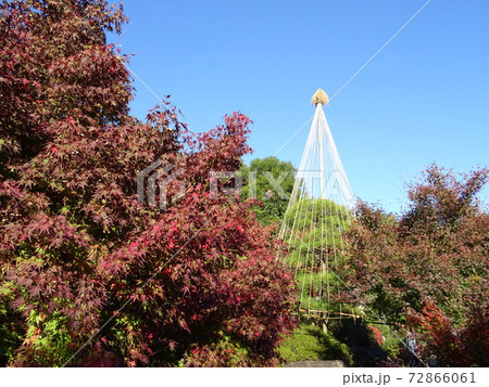 がんぎと紅葉と池が美しい秋の目白庭園　池泉回遊式の日本庭園 72866061