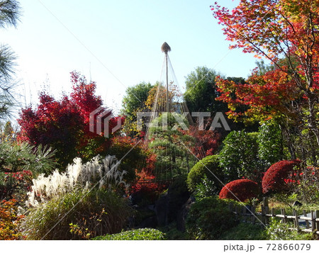 がんぎと紅葉と池が美しい秋の目白庭園　池泉回遊式の日本庭園 72866079