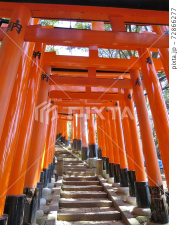 伏見稲荷 伏見稲荷 72866277