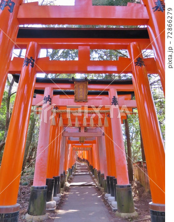 伏見稲荷 72866279
