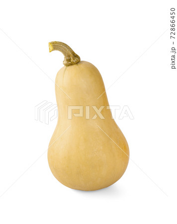 Butternut squash isolated on white background Butternut squash isolated on white background 72866450