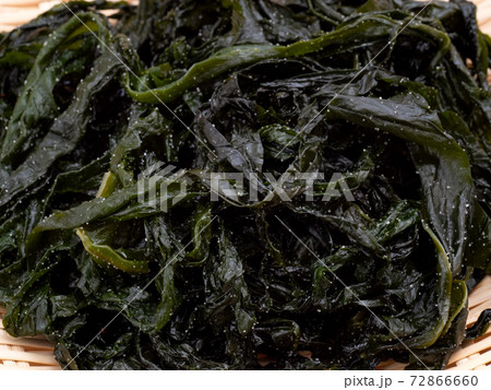 塩蔵ワカメ 72866660