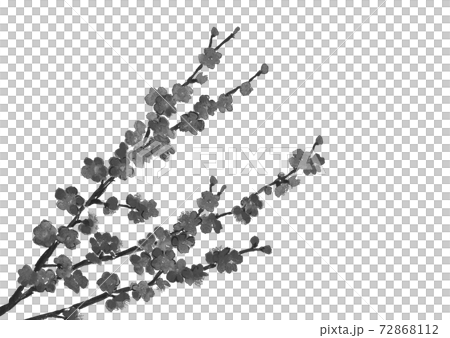 Ume Ume分支新年賀卡材料單調白色背景與副本空間[水墨風格水彩插圖] 72868112