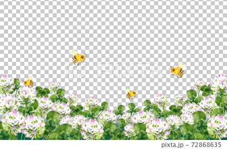 クローバーとミツバチの水彩イラスト 72868635
