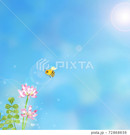 レンゲの花とミツバチの水彩イラスト 72868636