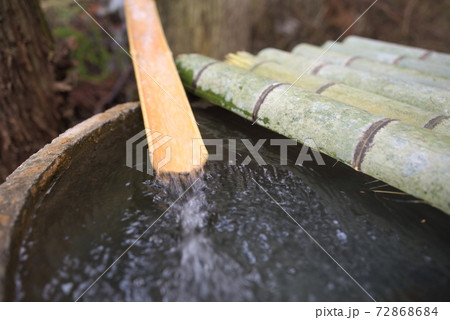 玖珠郡（九重町）　ミツマタの里 72868684