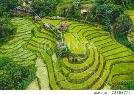 Rice Terraces in Doi inthanon national park in chiang Mai province, Thailand Rice Terraces in Doi inthanon national park in chiang Mai province, Thailand 72868779