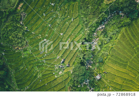Aerial view of Nang Lae Nai Rice Terraces in Chiang Rai, Chiang Mai province, Thailand 72868918