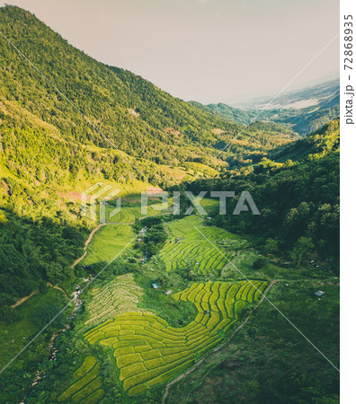 Aerial view of Nang Lae Nai Rice Terraces in Chiang Rai, Chiang Mai province, Thailand 72868935