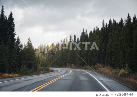 Road trip on highway road with sunlight on pine forest in overcast at Banff national park Road trip on highway road with sunlight on pine forest in overcast at Banff national park 72869444